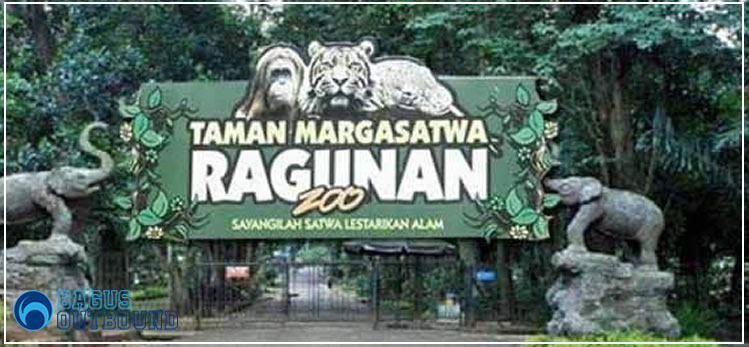 kebun binatang ragunan